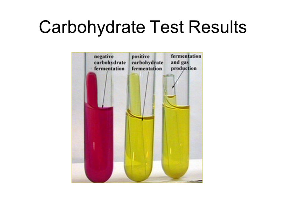 fermentation of carbohydrates test