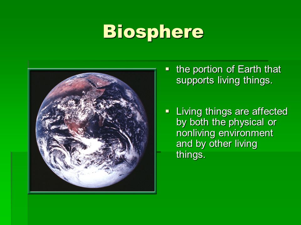 Biosphere the portion of Earth that supports living things.