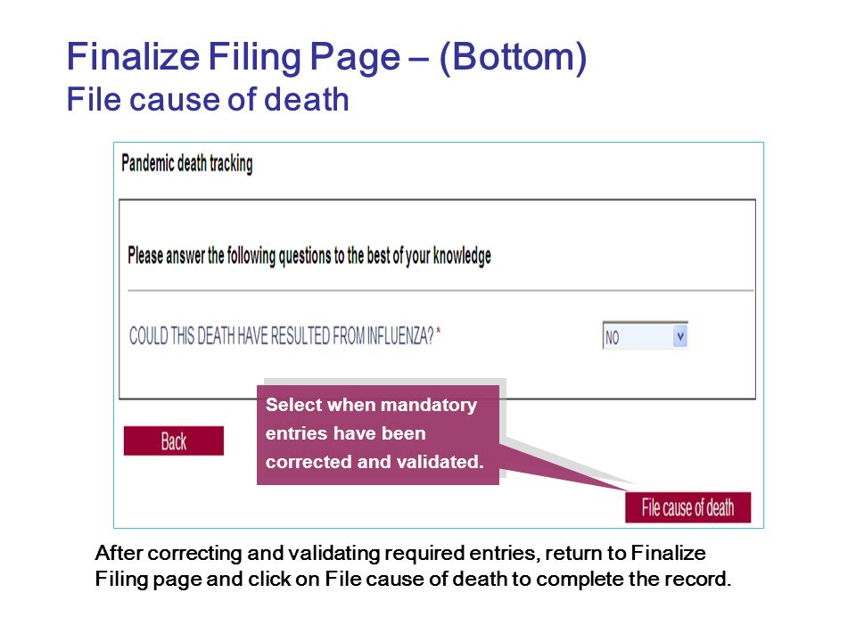 Finalize Filing Page – (Bottom)