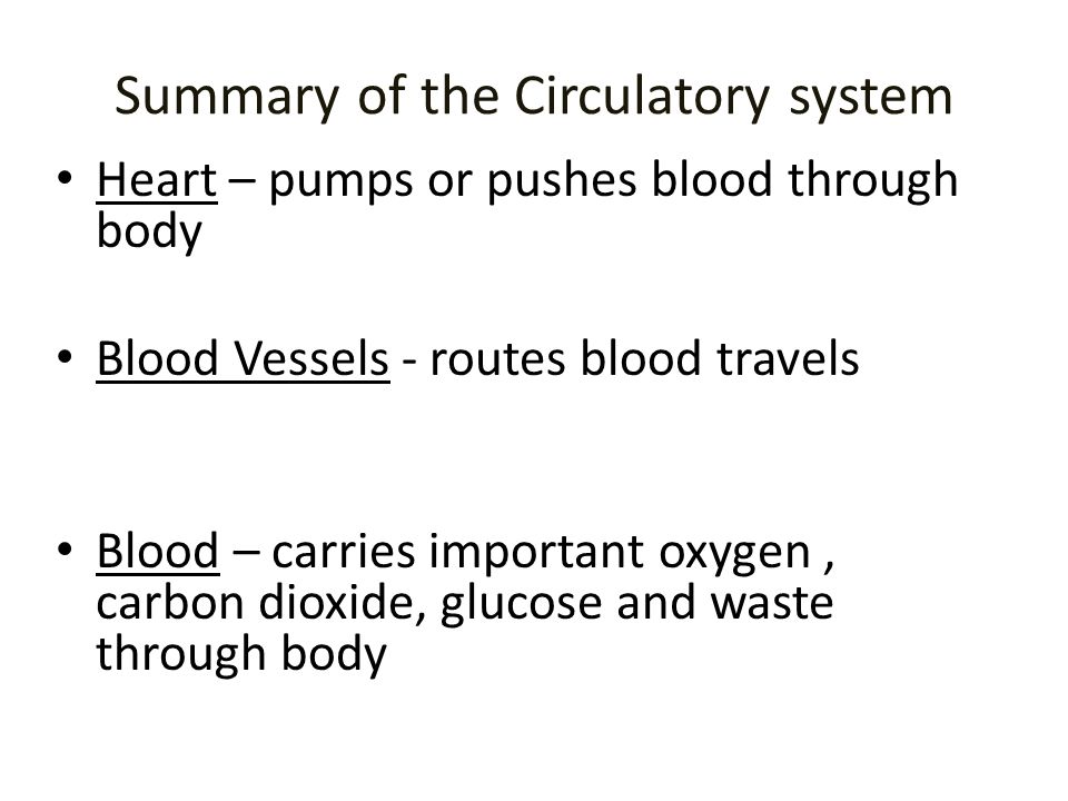Summary of the Circulatory system