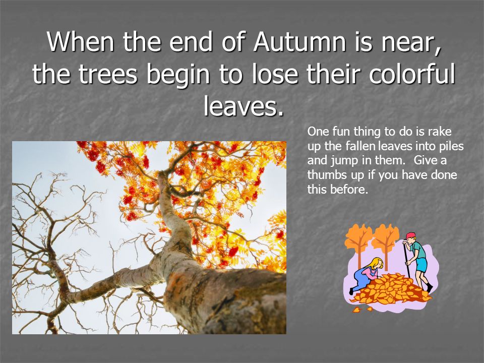 When the end of Autumn is near, the trees begin to lose their colorful leaves.
