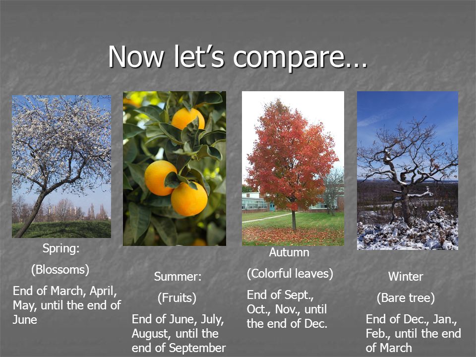 Now let’s compare… Spring: (Blossoms)