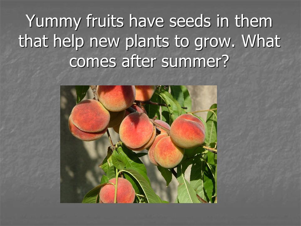 Yummy fruits have seeds in them that help new plants to grow
