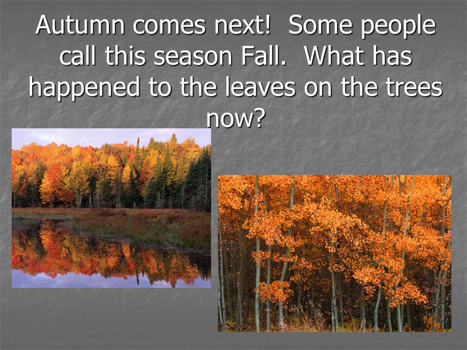 Autumn comes next. Some people call this season Fall