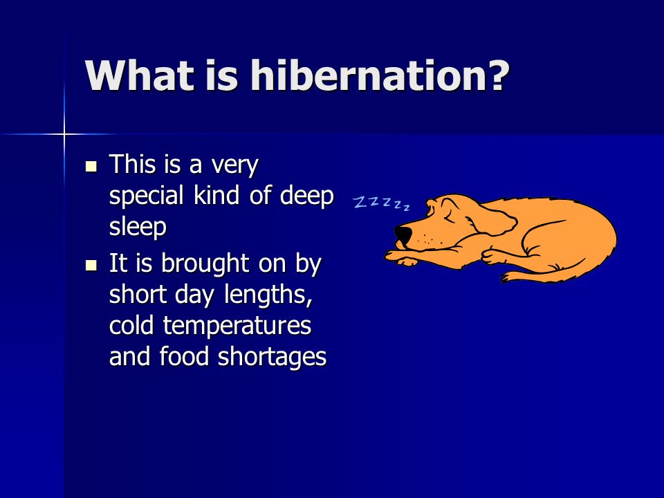 Hibernation and Migration - ppt download