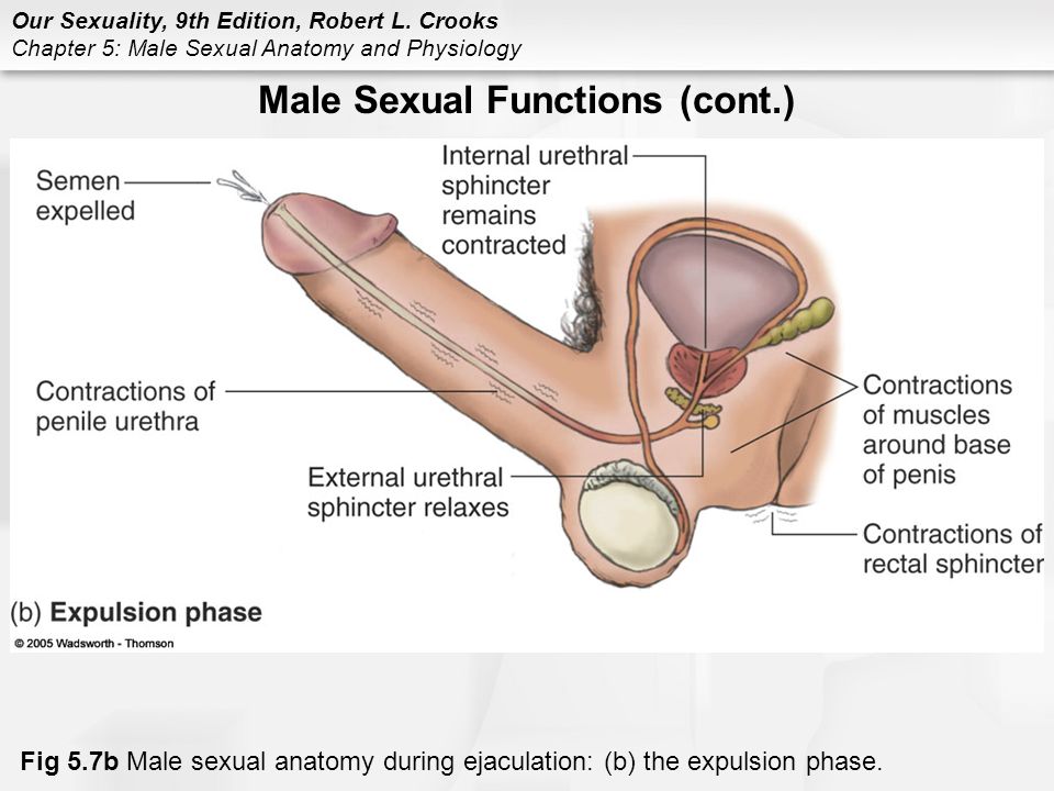 Association Of Female Sexual Dysfunction And Fertility