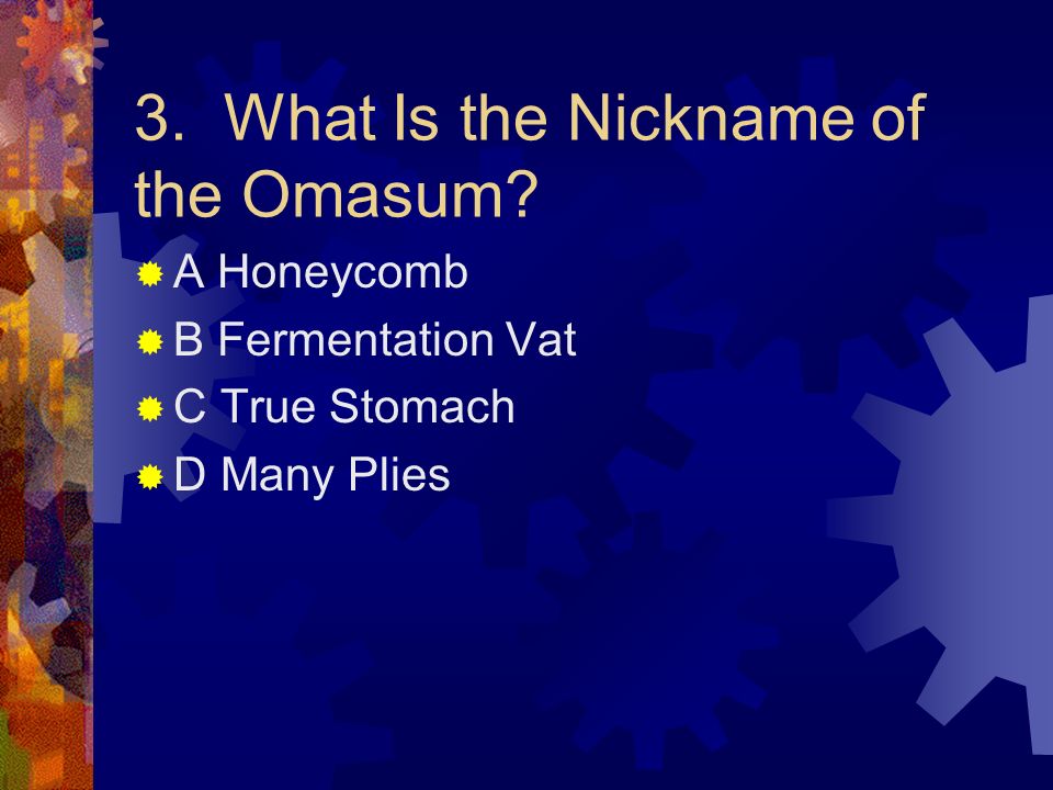 3. What Is the Nickname of the Omasum