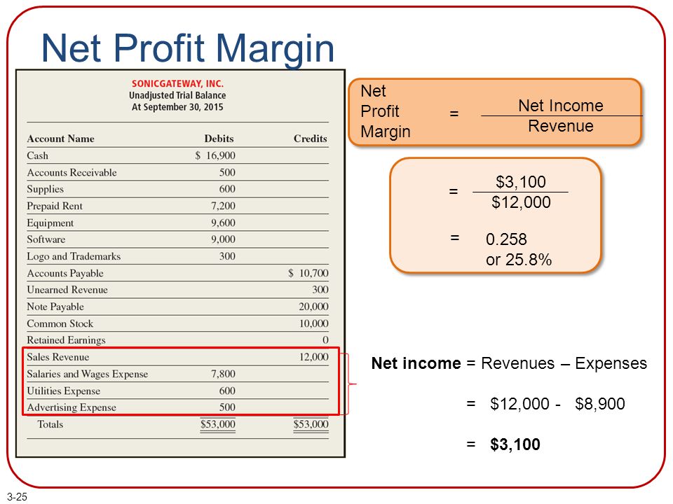 Net Profit Margin Net Profit Margin Net Income Revenue.
