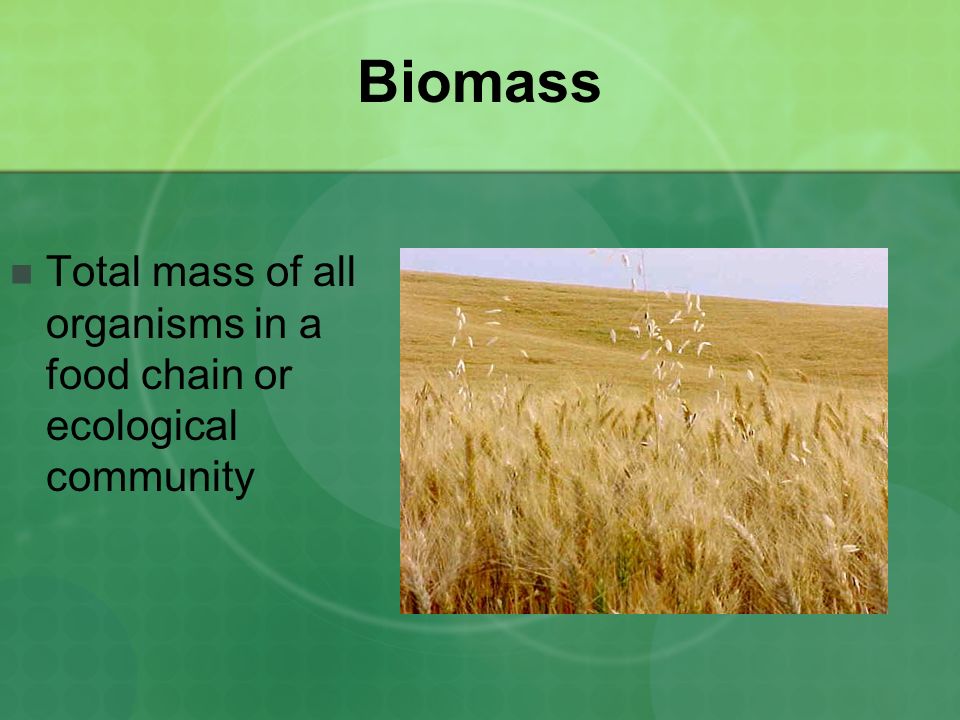 Biomass Total mass of all organisms in a food chain or ecological community