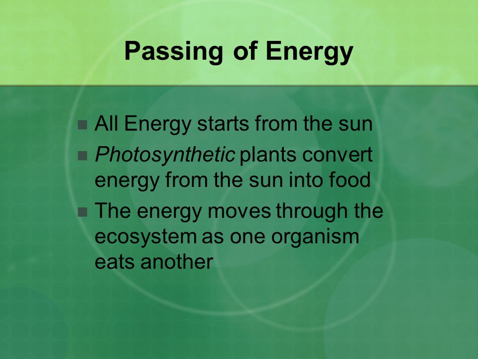 Passing of Energy All Energy starts from the sun