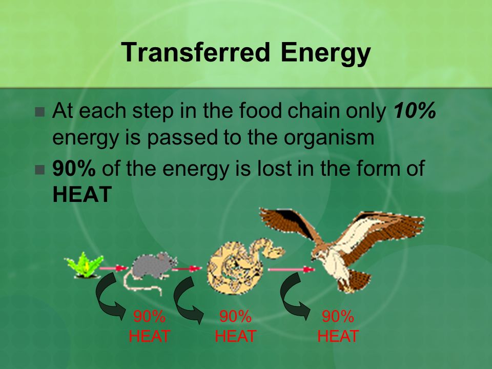 Transferred Energy At each step in the food chain only 10% energy is passed to the organism. 90% of the energy is lost in the form of HEAT.