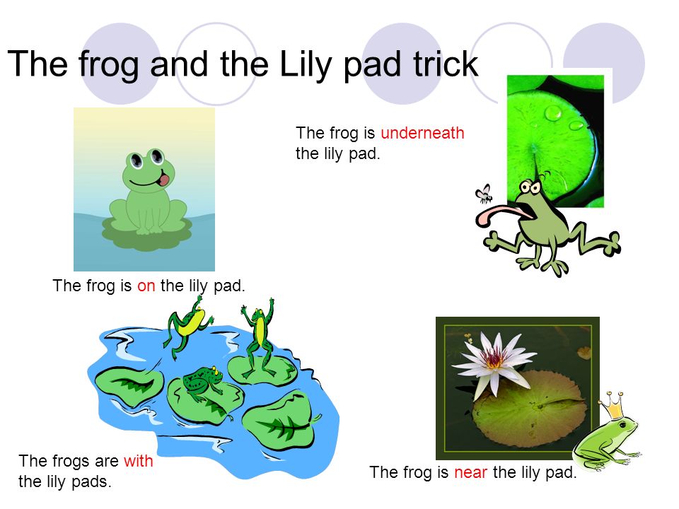 The frog and the Lily pad trick