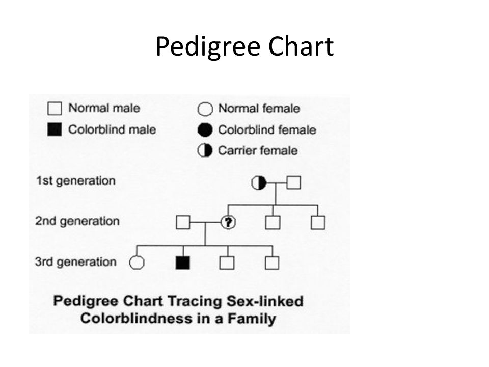 Pedigree Chart.