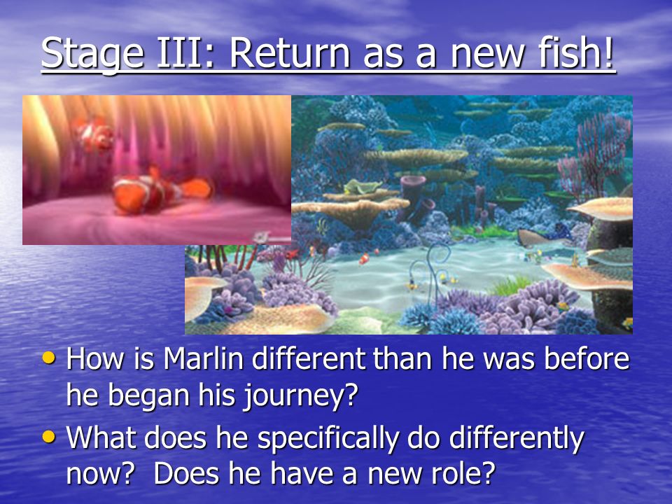 Stage III: Return as a new fish!