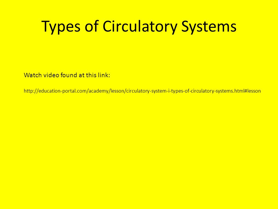 Types of Circulatory Systems
