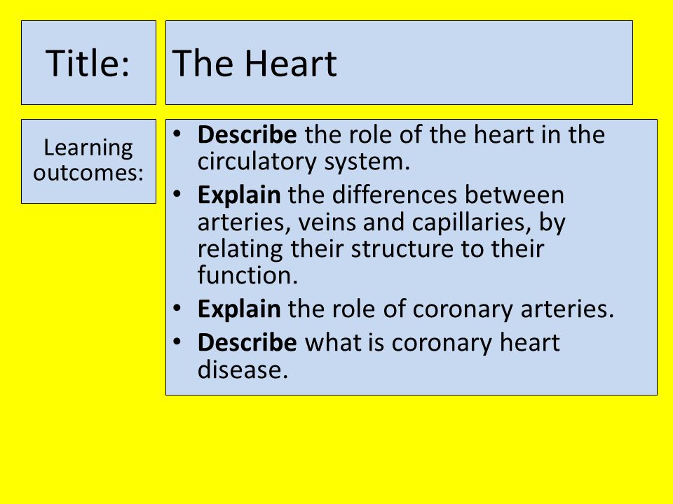 Title: The Heart. Learning outcomes: Describe the role of the heart in the circulatory system.