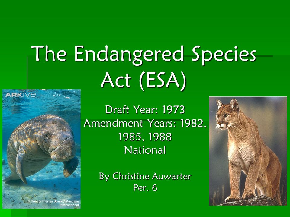 The Endangered Species Act (ESA)