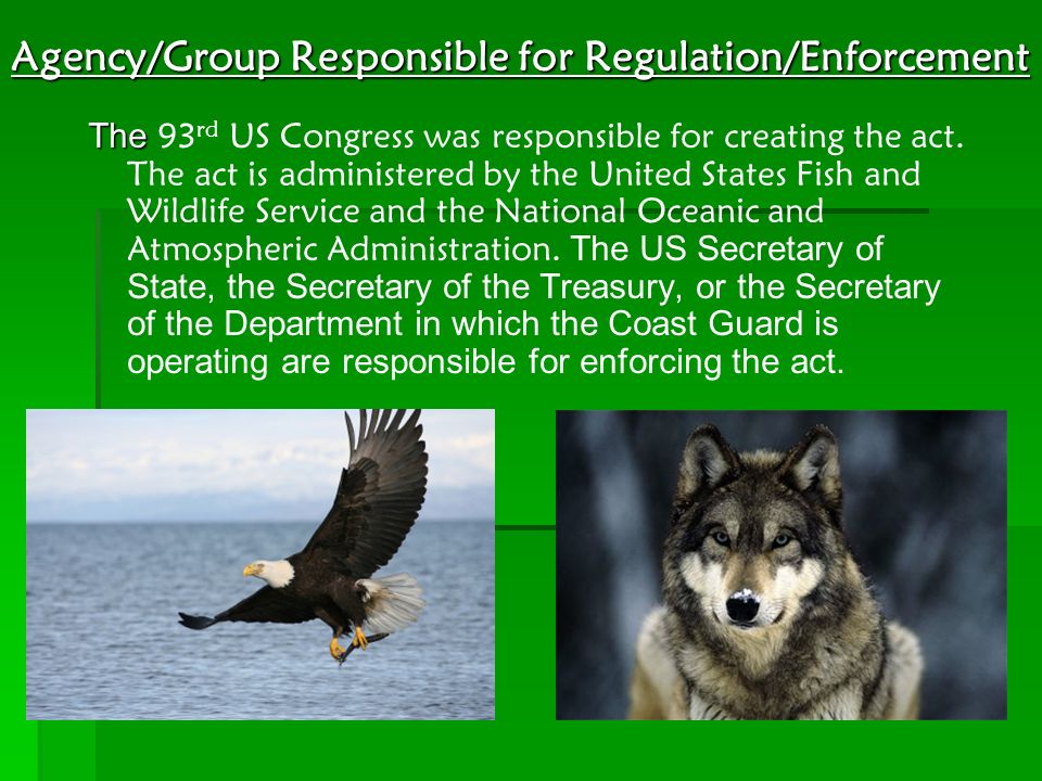 Agency/Group Responsible for Regulation/Enforcement