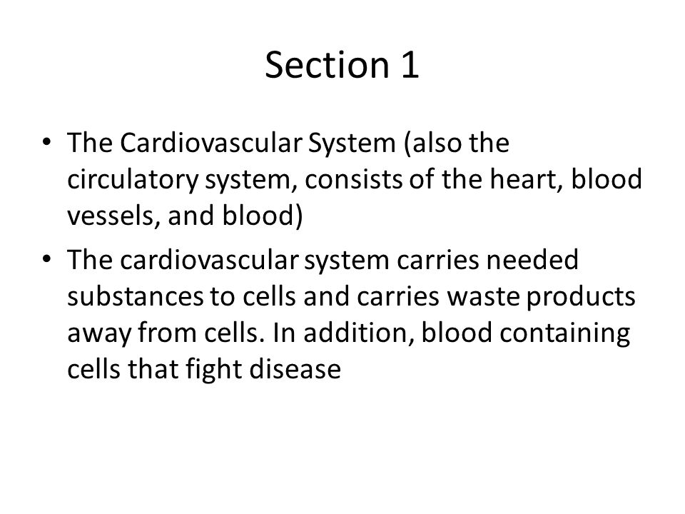 Section 1 The Cardiovascular System (also the circulatory system, consists of the heart, blood vessels, and blood)