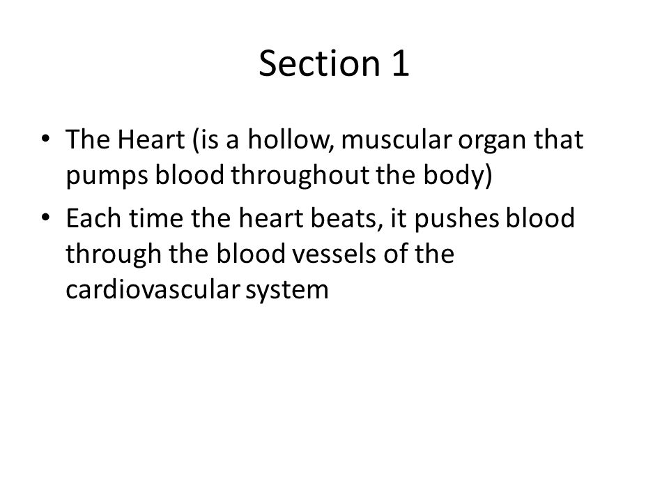 Section 1 The Heart (is a hollow, muscular organ that pumps blood throughout the body)