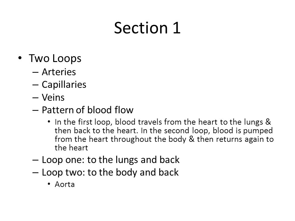 Section 1 Two Loops Arteries Capillaries Veins Pattern of blood flow