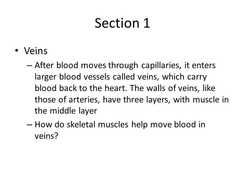 Section 1 Veins.