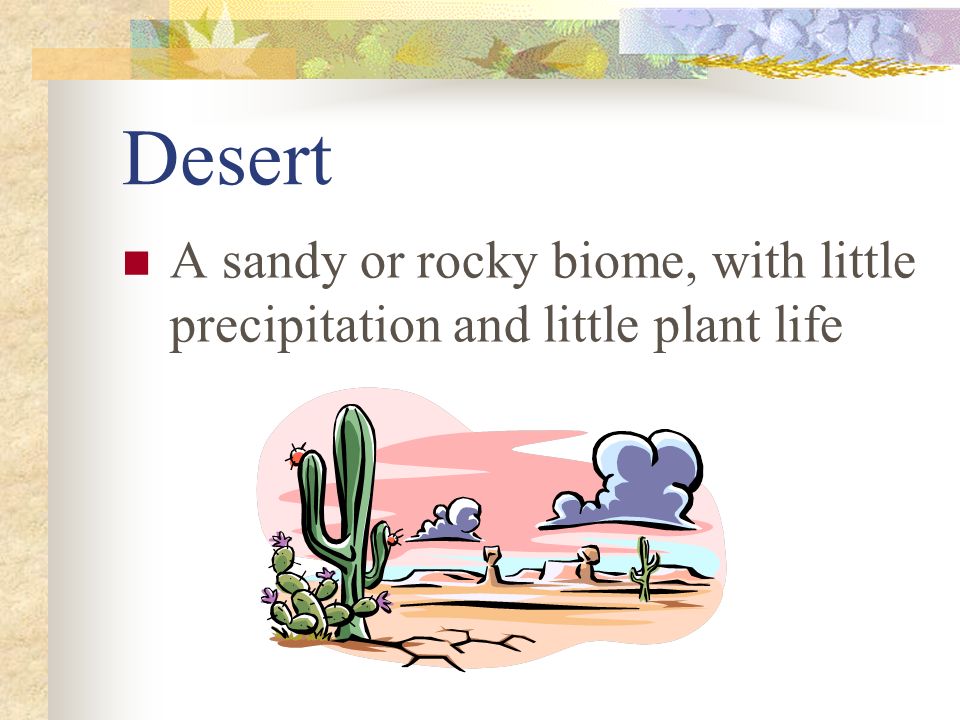 Desert A sandy or rocky biome, with little precipitation and little plant life