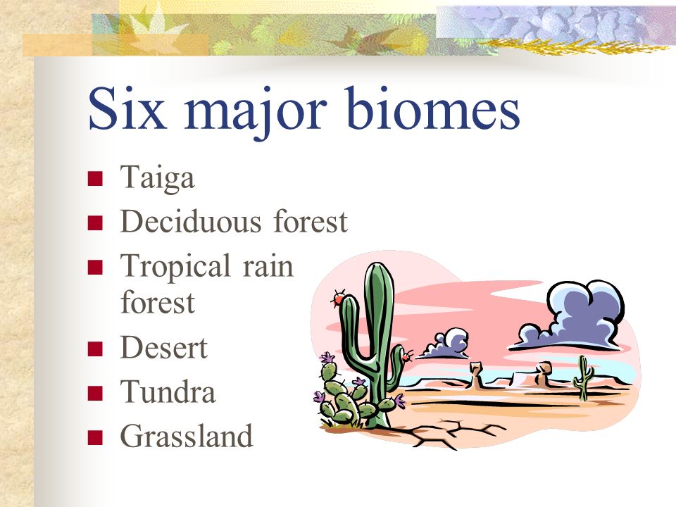 Six major biomes Taiga Deciduous forest Tropical rain forest Desert