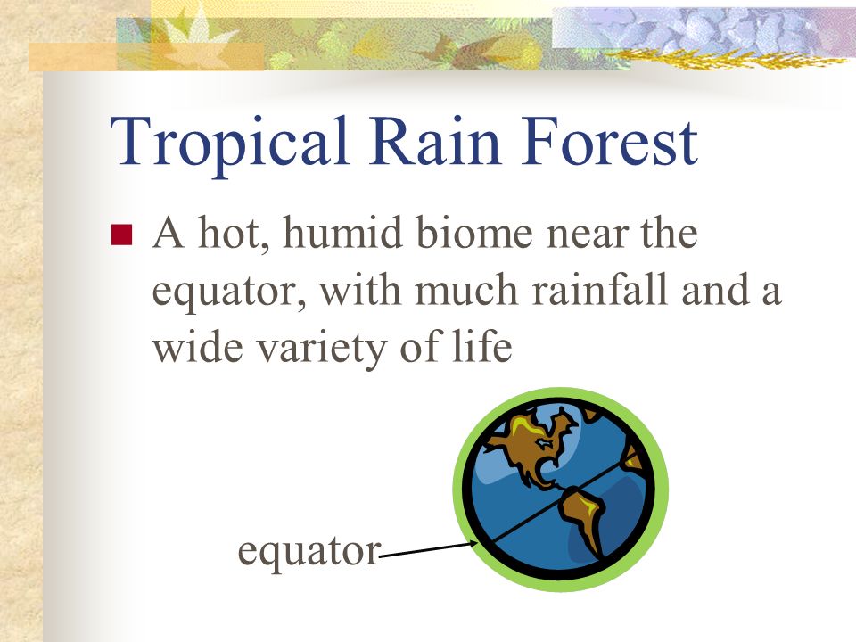 Tropical Rain Forest A hot, humid biome near the equator, with much rainfall and a wide variety of life.