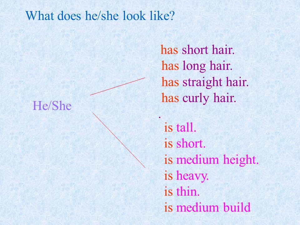 What does he/she look like? is medium height. is heavy. is short. is tall. ...