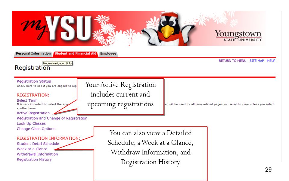 Your Active Registration includes current and upcoming registrations