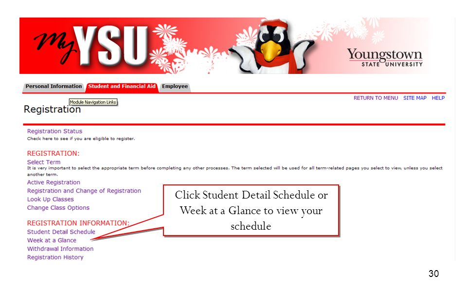 Click Student Detail Schedule or Week at a Glance to view your schedule