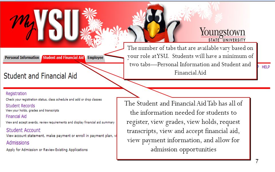 The number of tabs that are available vary based on your role at YSU
