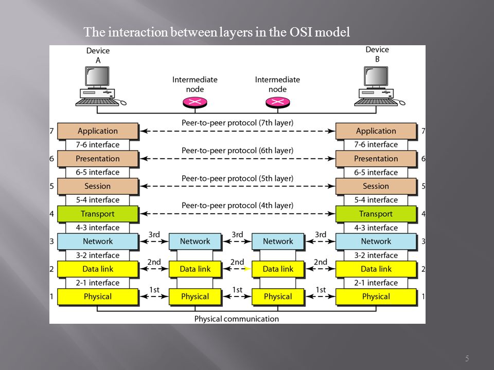 The OSI Model. - ppt video online download