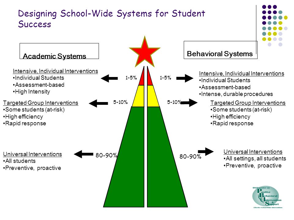 Designing School-Wide Systems for Student Success