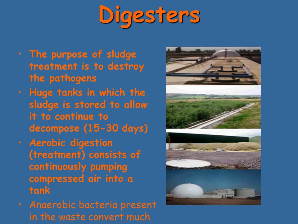 Digesters The purpose of sludge treatment is to destroy the pathogens