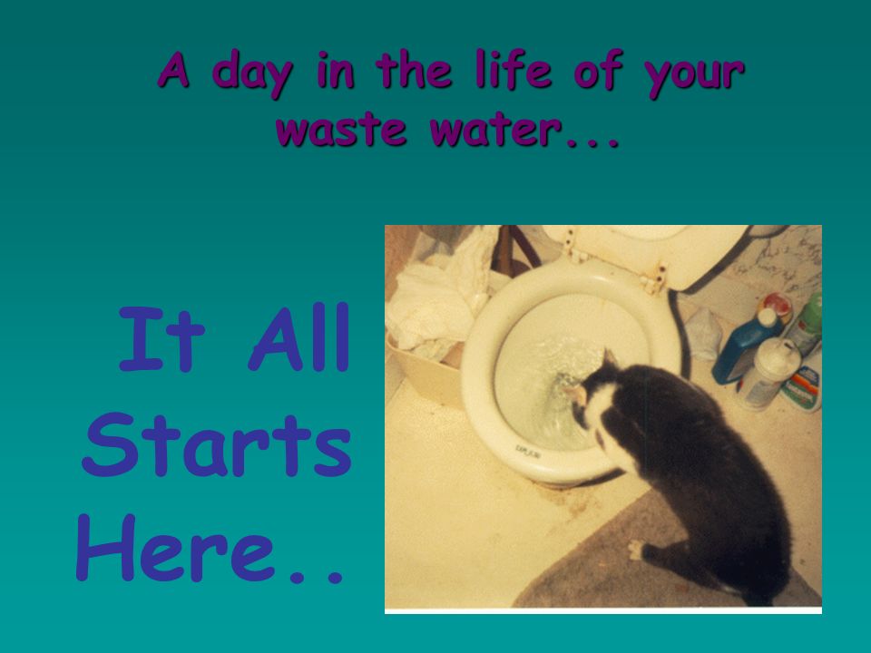 A day in the life of your waste water...