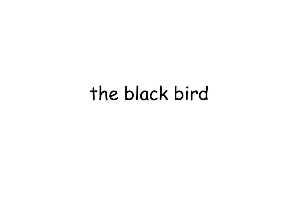 the black bird