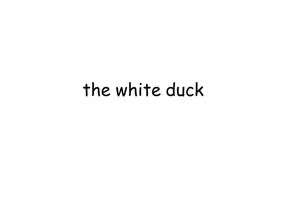 the white duck