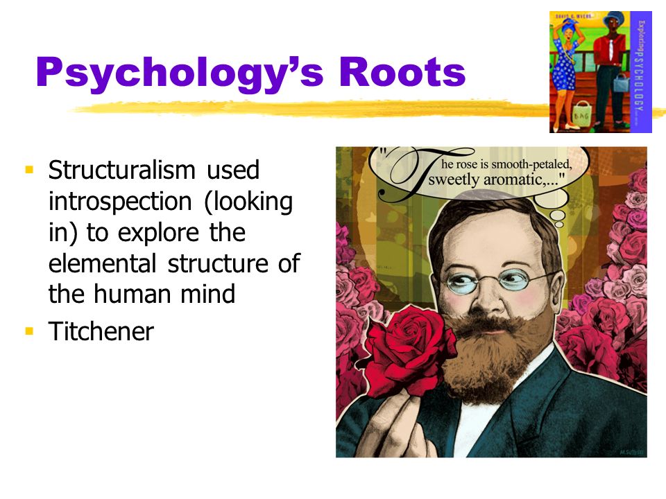 Psychology’s Roots Structuralism used introspection (looking in) to explore the elemental structure of the human mind.