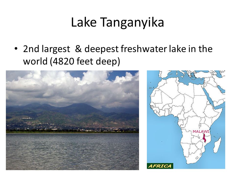 Lake Tanganyika 2nd largest & deepest freshwater lake in the world (4820 feet deep)