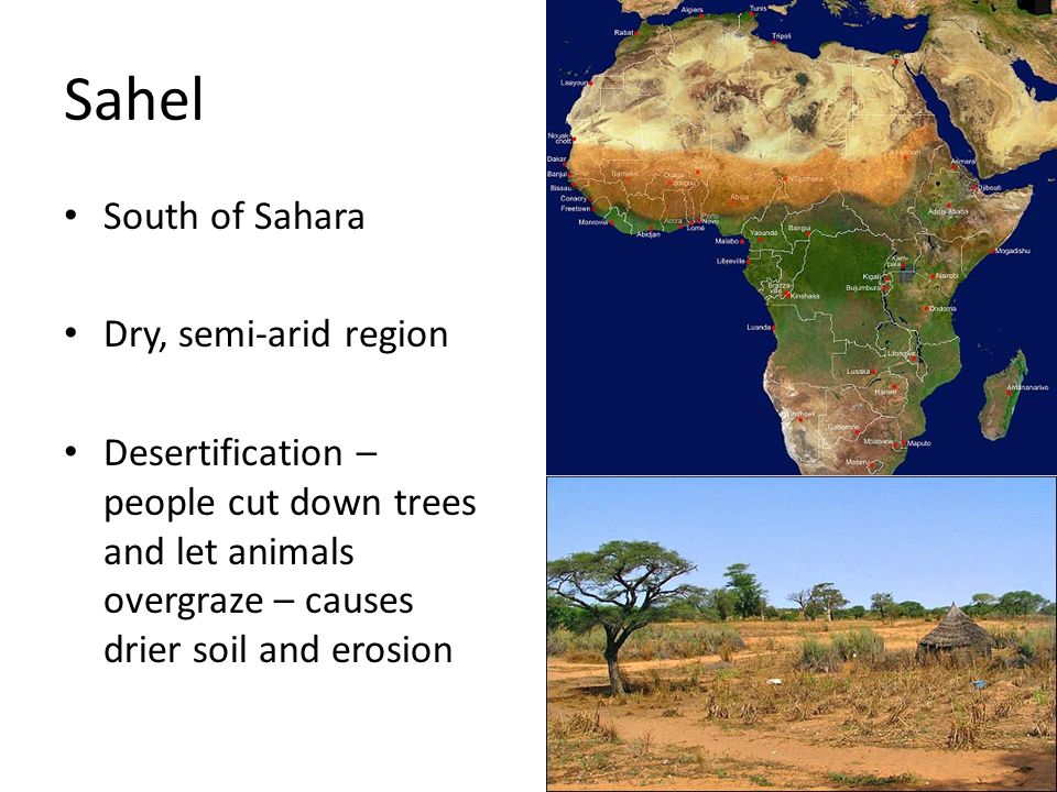 Sahel South of Sahara Dry, semi-arid region