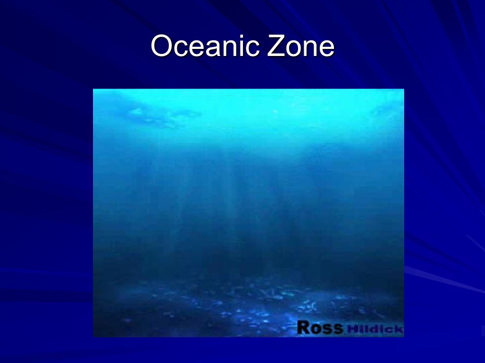 Oceanic Zone