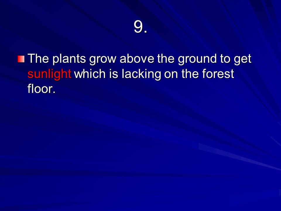 9. The plants grow above the ground to get sunlight which is lacking on the forest floor.