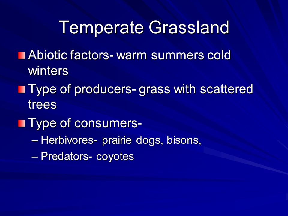 Temperate Grassland Abiotic factors- warm summers cold winters