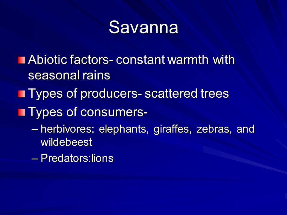Savanna Abiotic factors- constant warmth with seasonal rains
