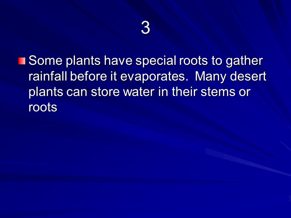 3 Some plants have special roots to gather rainfall before it evaporates.