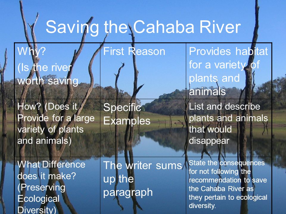 Saving the Cahaba River