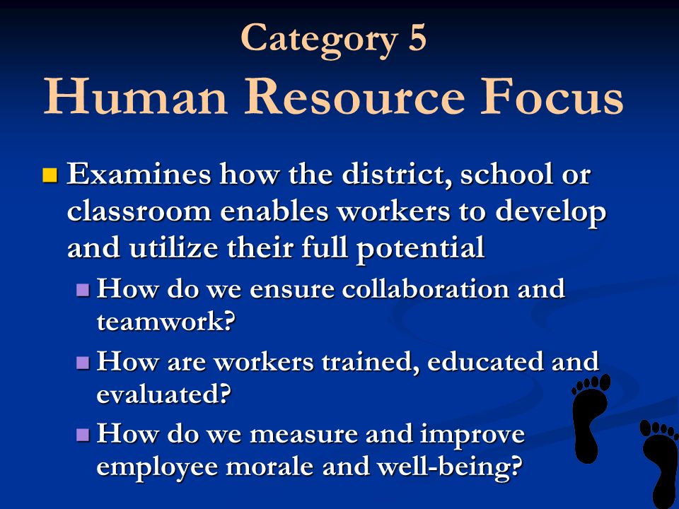 Category 5 Human Resource Focus