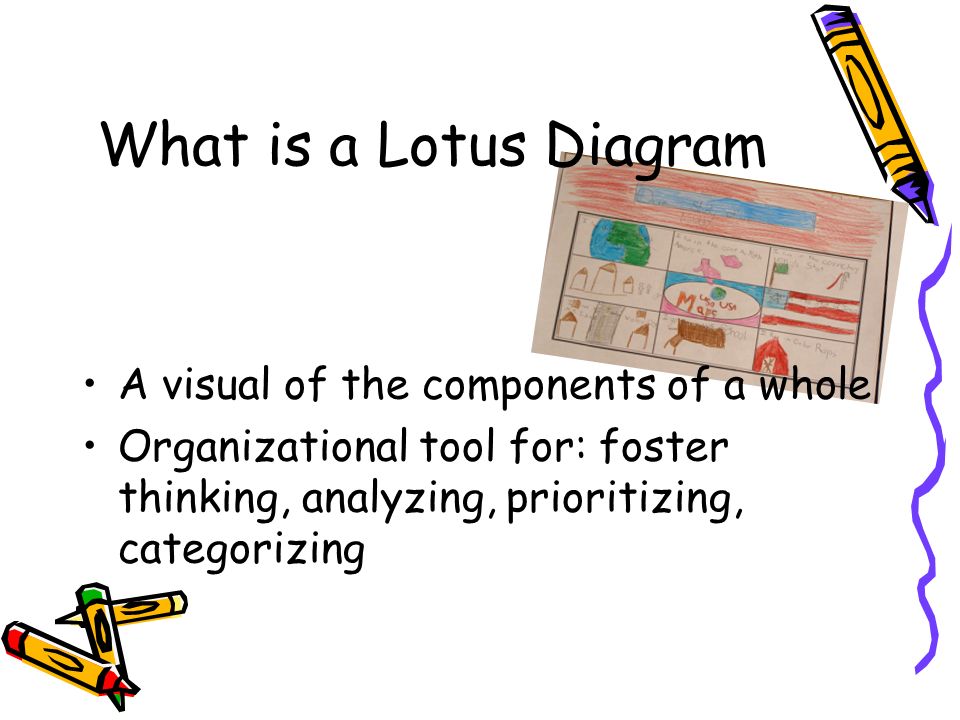 What is a Lotus Diagram A visual of the components of a whole